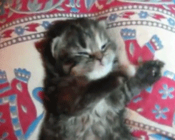 Acid Gifdump, June 05, 2013 (25 gifs)