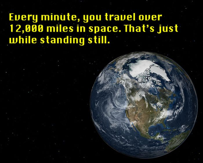 Interesting Science Facts (12 pics)