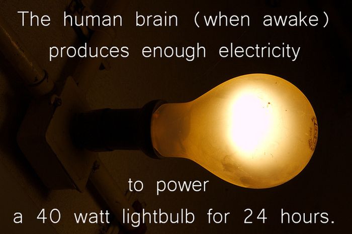 Interesting Science Facts (12 pics)