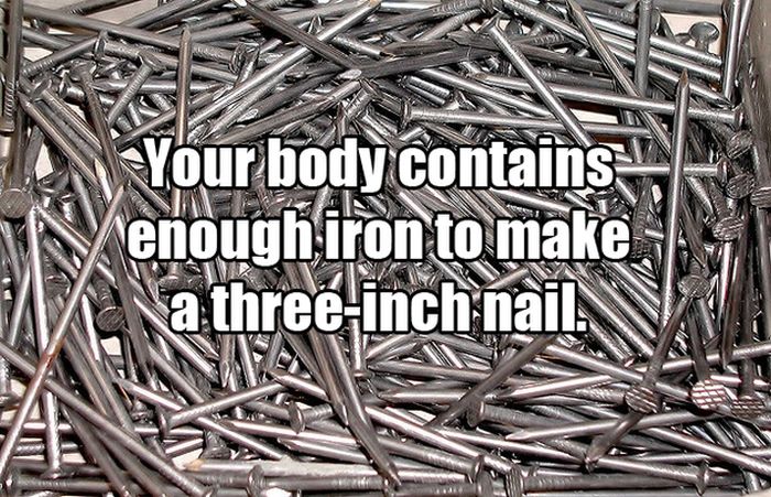 Interesting Science Facts (12 pics)