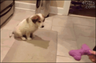 Did It Ever Happen to You When... Part 43 (16 gifs)