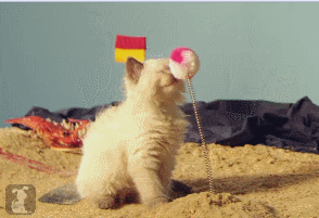 Acid Gifdump, June 09, 2013 (25 gifs)