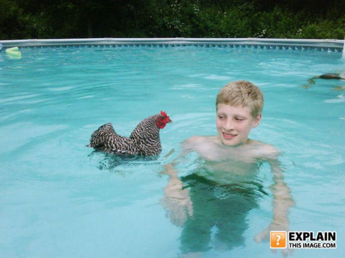 Pictures That Make No Sense. Part 7 (69 pics)