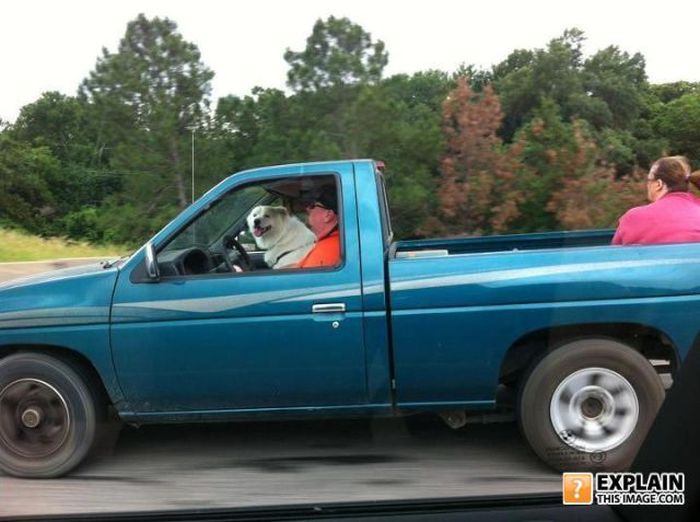 Pictures That Make No Sense. Part 7 (69 pics)