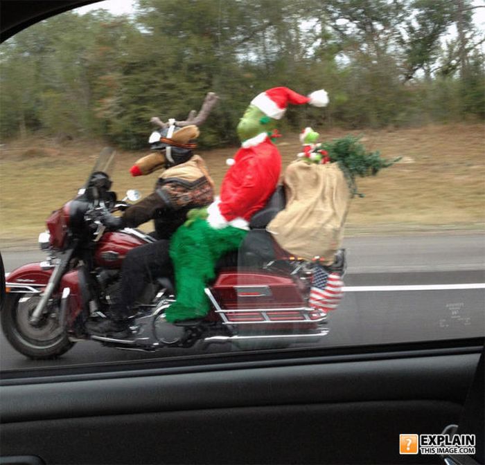 Pictures That Make No Sense. Part 7 (69 pics)