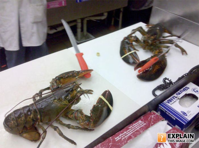 Pictures That Make No Sense. Part 7 (69 pics)