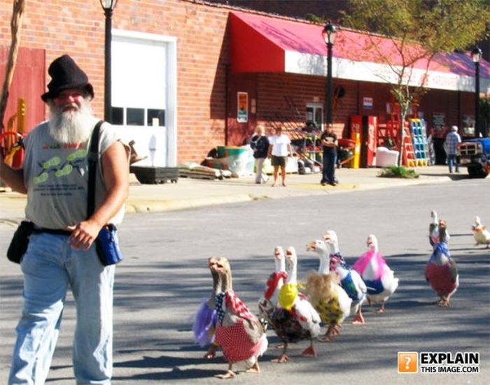 Pictures That Make No Sense. Part 7 (69 pics)