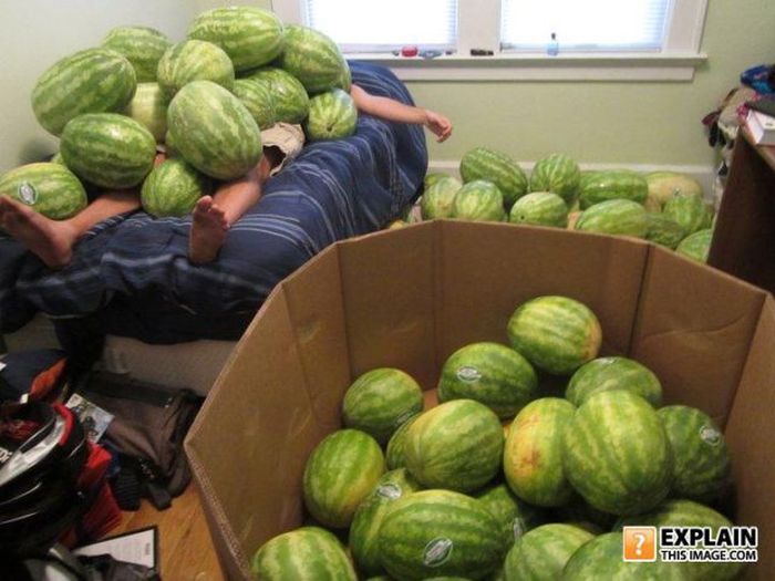Pictures That Make No Sense. Part 7 (69 pics)
