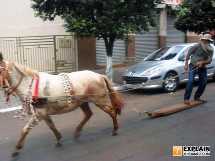 Pictures That Make No Sense. Part 7 (69 pics)