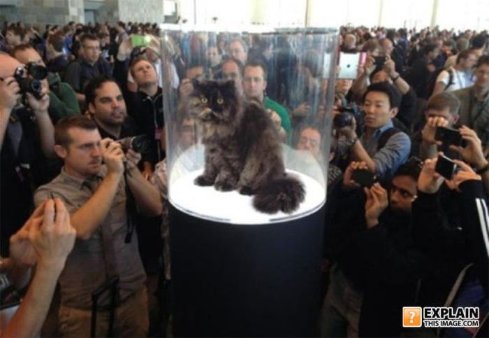 Pictures That Make No Sense. Part 7 (69 pics)