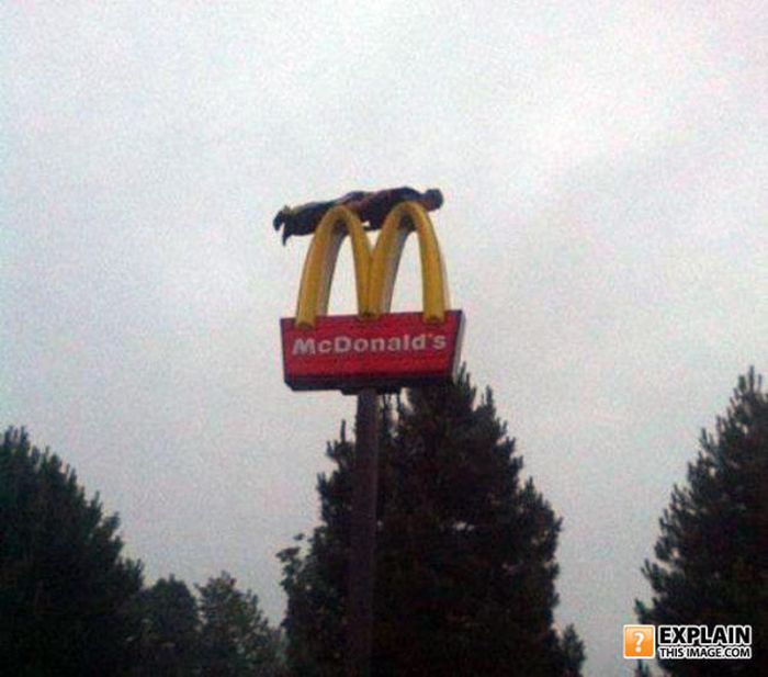 Pictures That Make No Sense. Part 7 (69 pics)