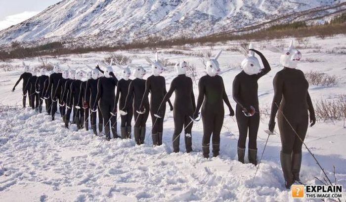 Pictures That Make No Sense. Part 7 (69 pics)