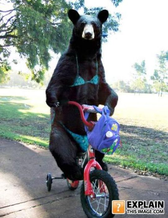 Pictures That Make No Sense. Part 7 (69 pics)