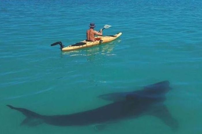 Acid Picdump (134 pics)