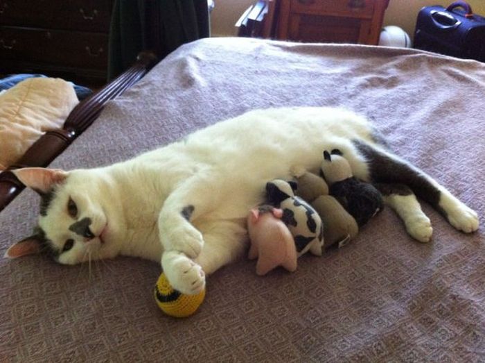 Acid Picdump (134 pics)