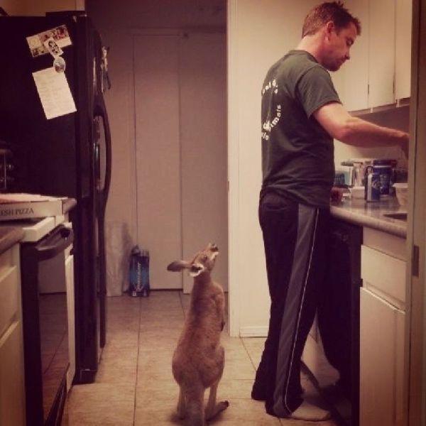Acid Picdump (134 pics)
