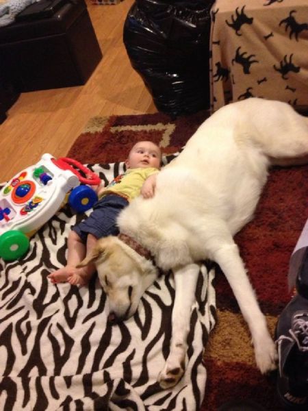 Acid Picdump (134 pics)
