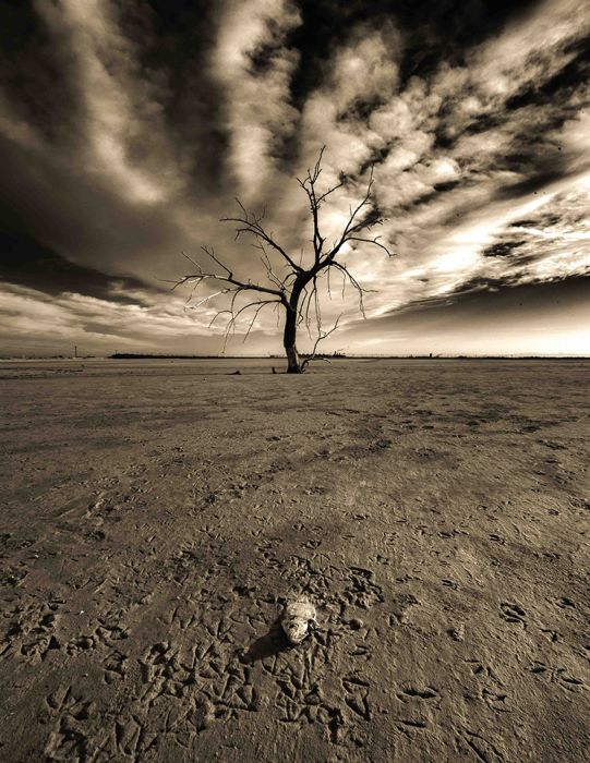 Beautiful Pictures (40 pics)