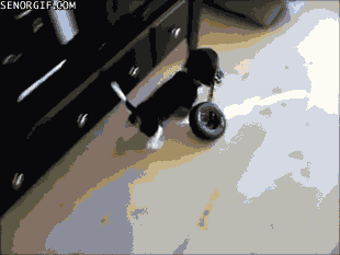 Acid Gifdump, June 12, 2013 (25 gifs)