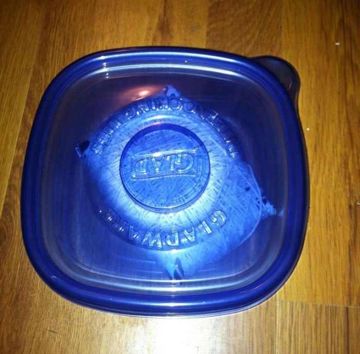 How to Win a Bet When You Lost It (10 pics)