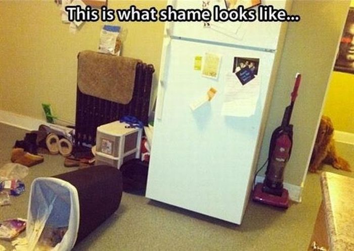 Acid Picdump (126 pics)