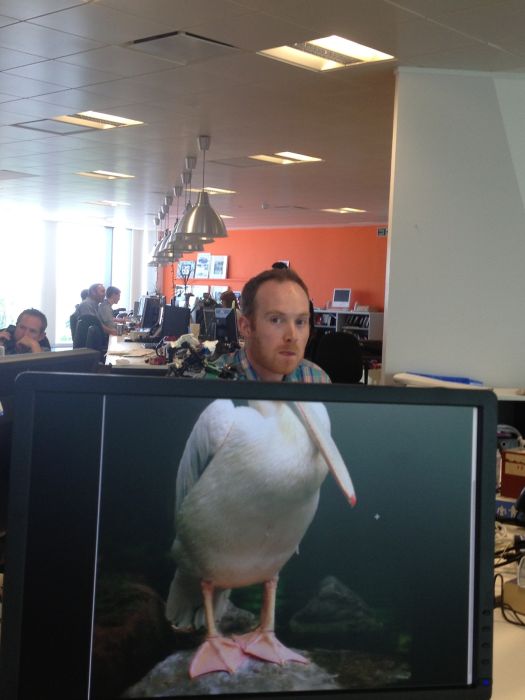 Coworkers with Animal Bodies (33 pics)