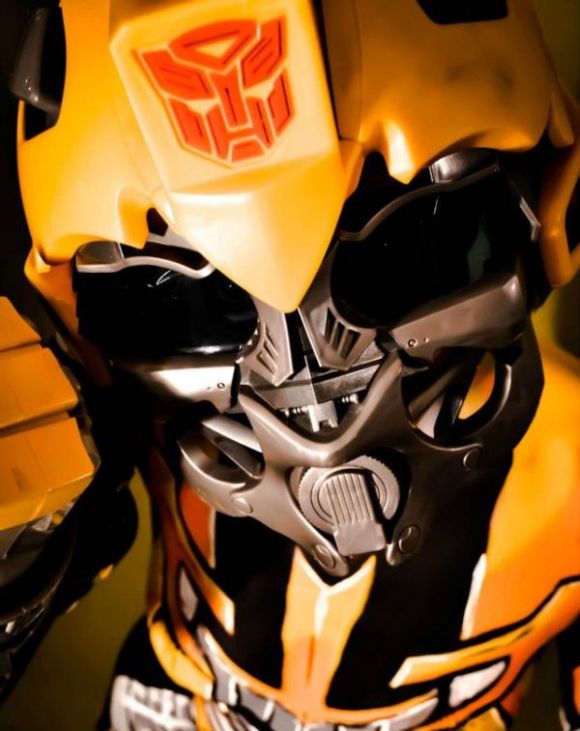 Body Paint Bumblebee (11 pics)