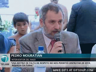 Videobombs Are Funny (20 gifs)