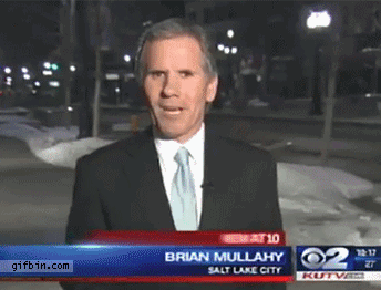 Videobombs Are Funny (20 gifs)