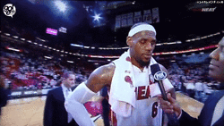Videobombs Are Funny (20 gifs)