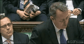 Videobombs Are Funny (20 gifs)