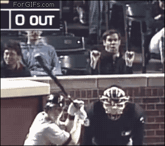 Videobombs Are Funny (20 gifs)