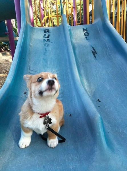 Acid Picdump (105 pics)