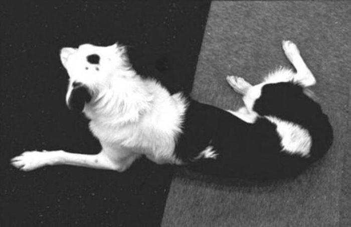 Aweosome Coincidences (39 pics)