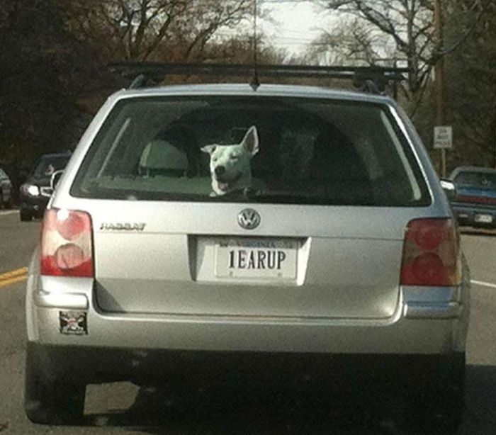 Aweosome Coincidences (39 pics)