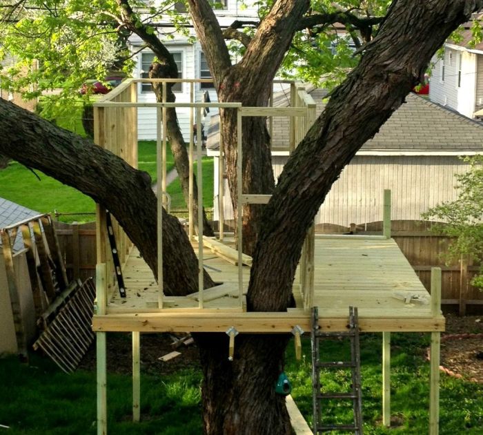 How to Build a Treehouse (15 pics)
