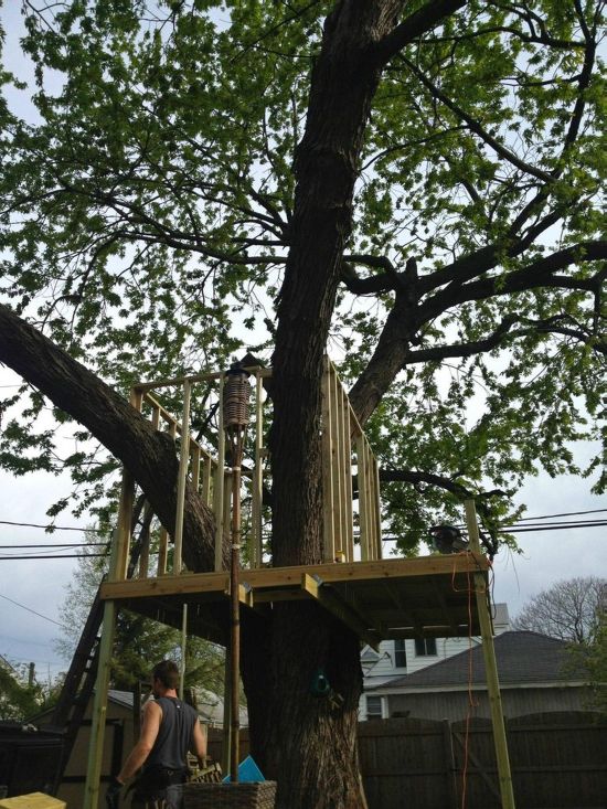 How to Build a Treehouse (15 pics)