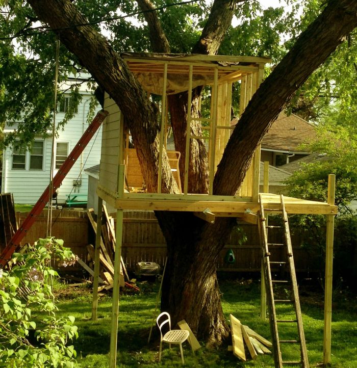 How to Build a Treehouse (15 pics)