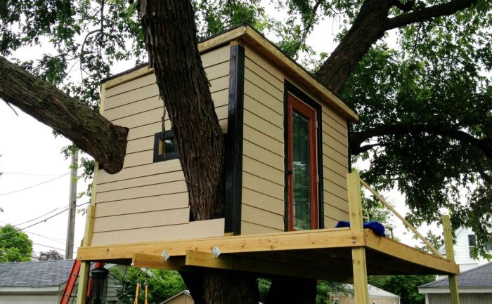 How to Build a Treehouse (15 pics)