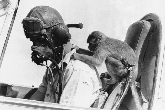 World War II Photographs (90 pics)