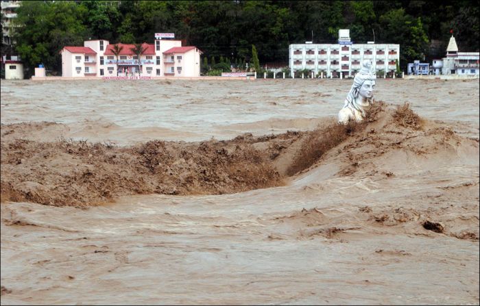 India Floods (23 pics)