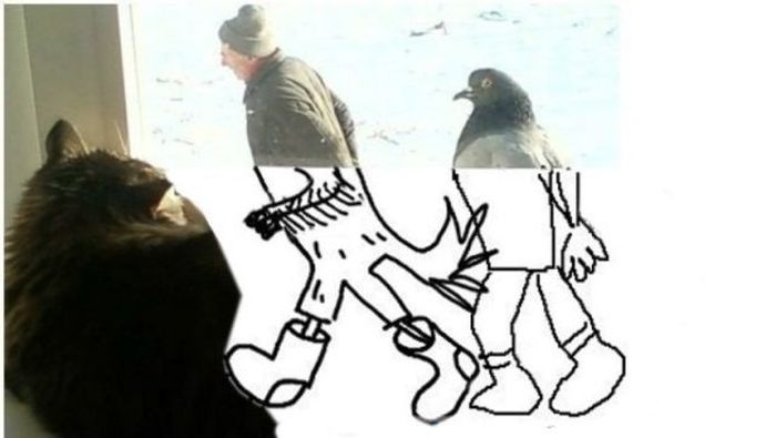 The Other Side of the Story (15 pics)