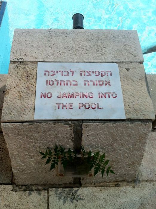 WTF Signs. Part 35 (30 pics)