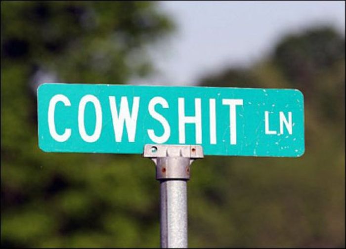WTF Signs. Part 35 (30 pics)