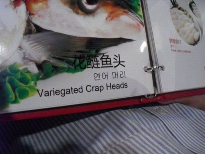 WTF Signs. Part 35 (30 pics)