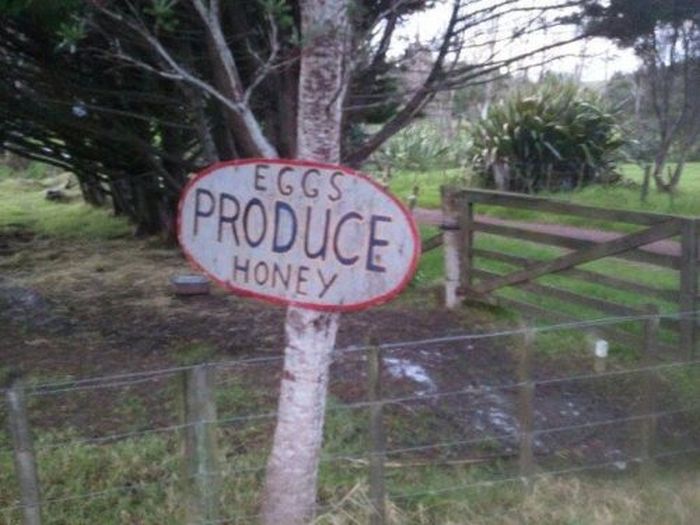 WTF Signs. Part 35 (30 pics)
