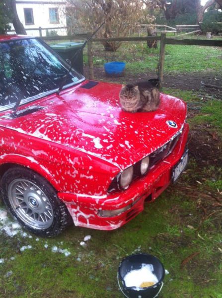 Acid Picdump (118 pics)