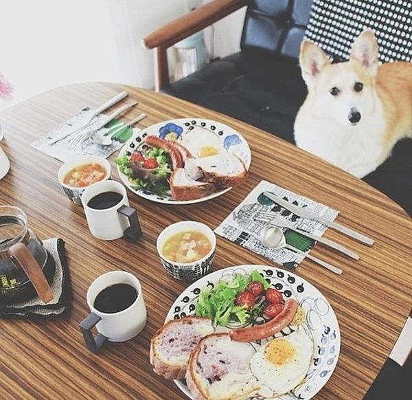 Beautiful Instagram Breakfast Photos (66 pics)