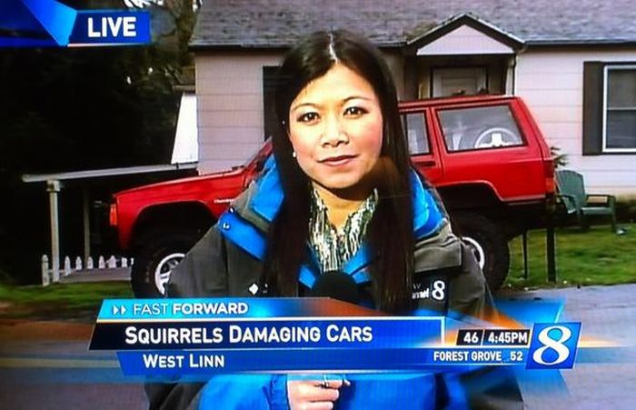 Boring Things Covered by News (18 pics)
