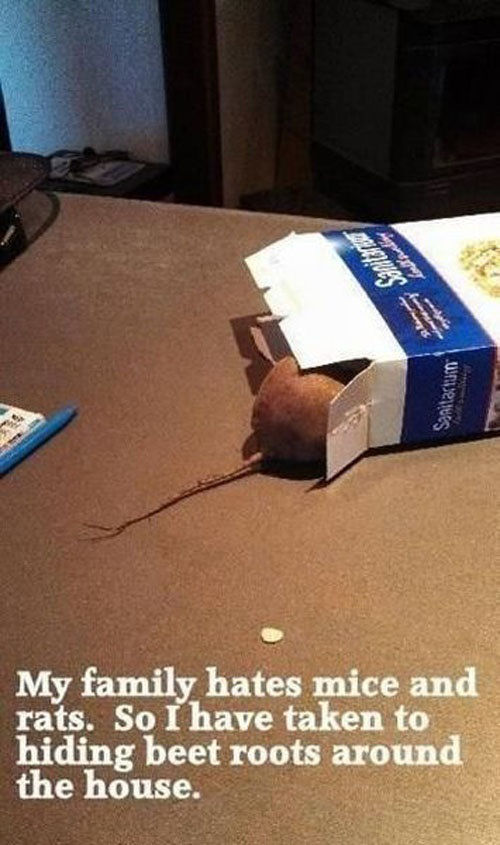 Doing Evil Things (49 pics)